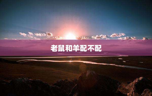 老鼠和羊配不配