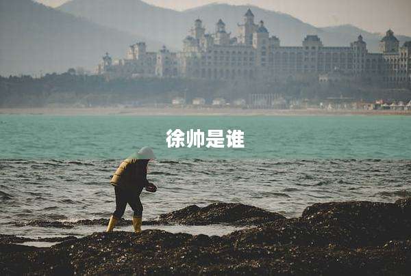 徐帅是谁