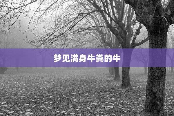 梦见满身牛粪的牛