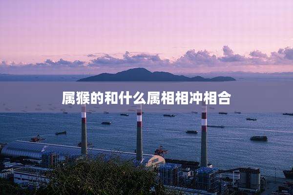 属猴的和什么属相相冲相合