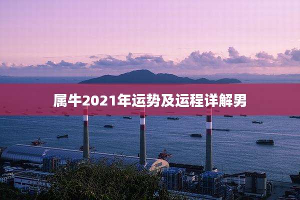 属牛2021年运势及运程详解男