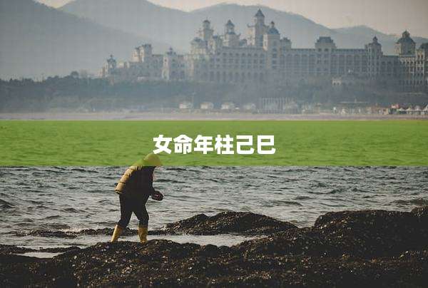 女命年柱己巳
