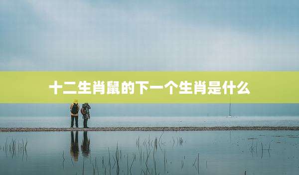 十二生肖鼠的下一个生肖是什么