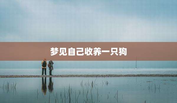 梦见自己收养一只狗