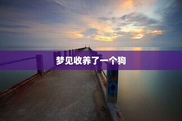 梦见收养了一个狗