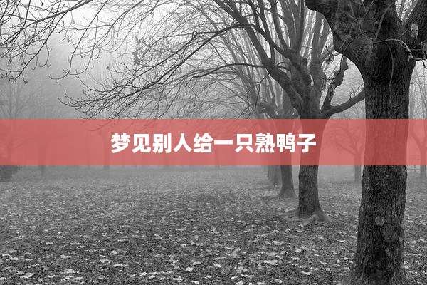 梦见别人给一只熟鸭子