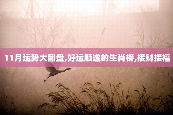 11月运势大翻盘,好运顺遂的生肖榜,接财接福