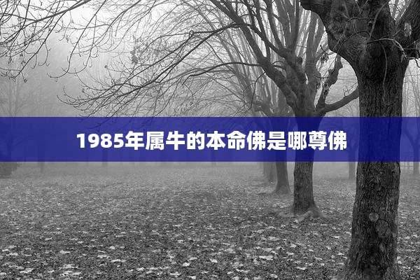 1985年属牛的本命佛是哪尊佛