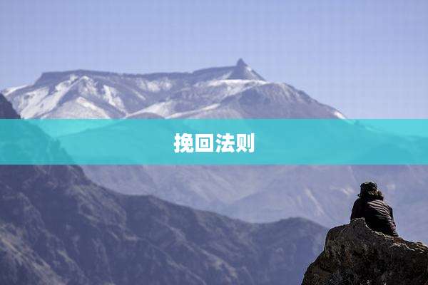 挽回法则