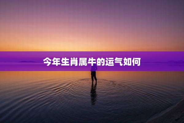 今年生肖属牛的运气如何