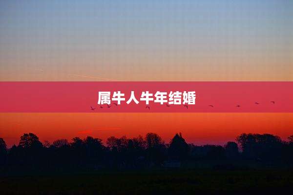 属牛人牛年结婚