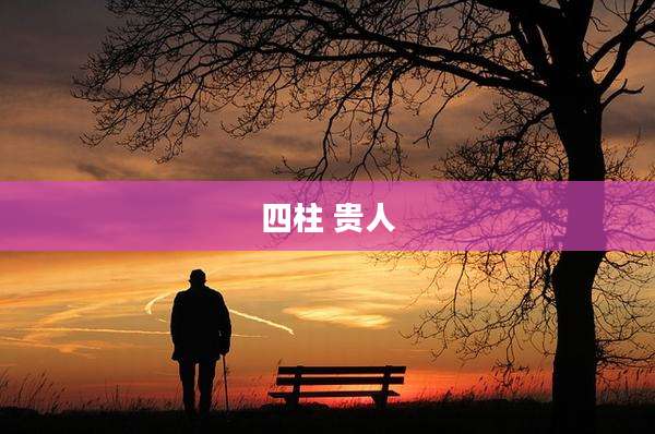 四柱 贵人