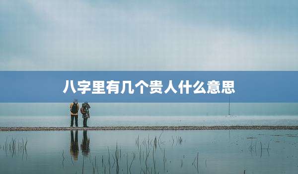 八字里有几个贵人什么意思