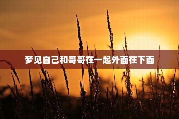 梦见自己和哥哥在一起外面在下面