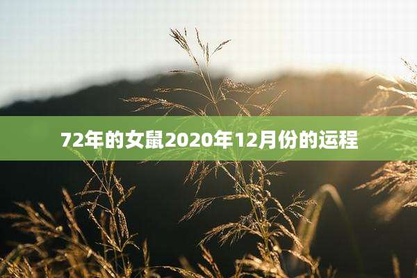 72年的女鼠2020年12月份的运程