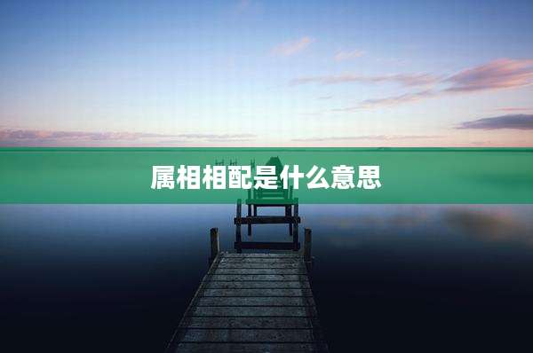 属相相配是什么意思