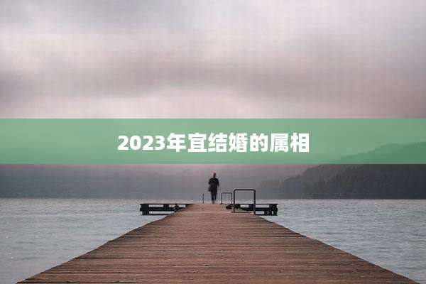 2023年宜结婚的属相