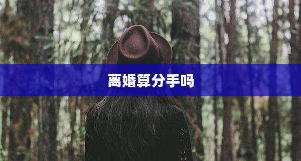 离婚算分手吗