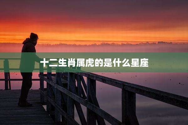 十二生肖属虎的是什么星座