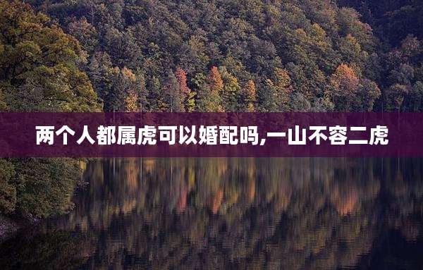两个人都属虎可以婚配吗,一山不容二虎