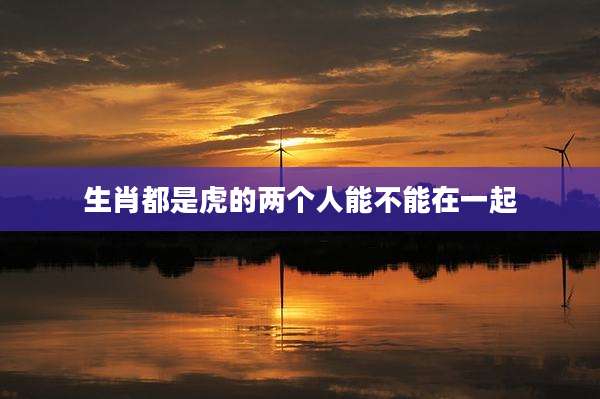 生肖都是虎的两个人能不能在一起