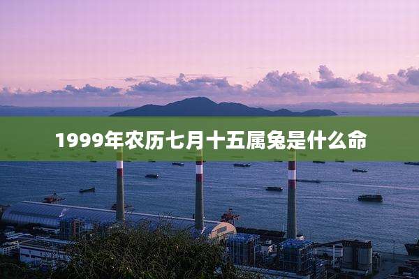 1999年农历七月十五属兔是什么命