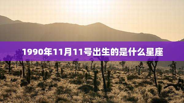 1990年11月11号出生的是什么星座