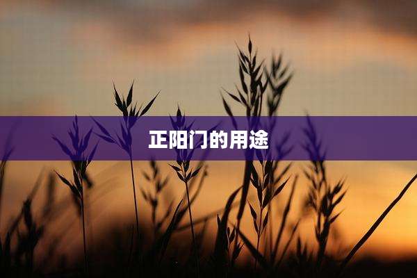 正阳门的用途