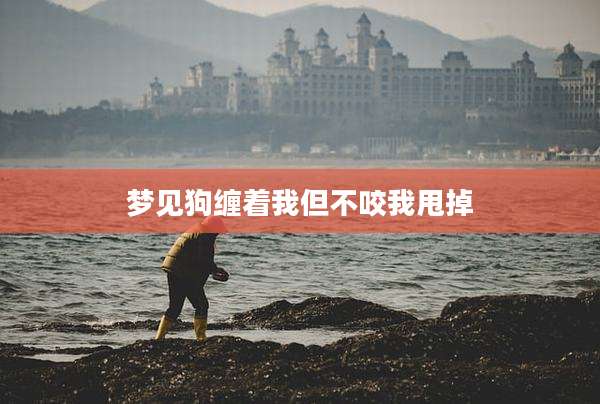 梦见狗缠着我但不咬我甩掉