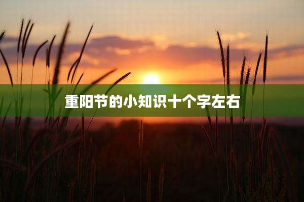 重阳节的小知识十个字左右