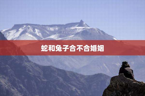 蛇和兔子合不合婚姻