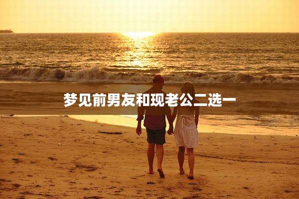 梦见前男友和现老公二选一