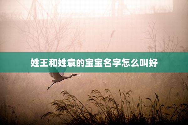 姓王和姓袁的宝宝名字怎么叫好