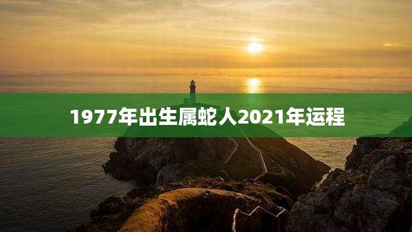 1977年出生属蛇人2021年运程