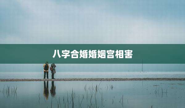 八字合婚婚姻宫相害