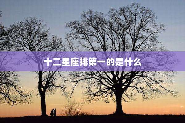 十二星座排第一的是什么