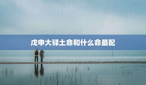 戊申大驿土命和什么命最配