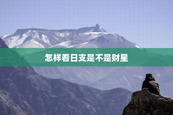 怎样看日支是不是财星