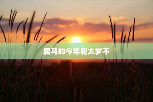 属马的今年犯太岁不