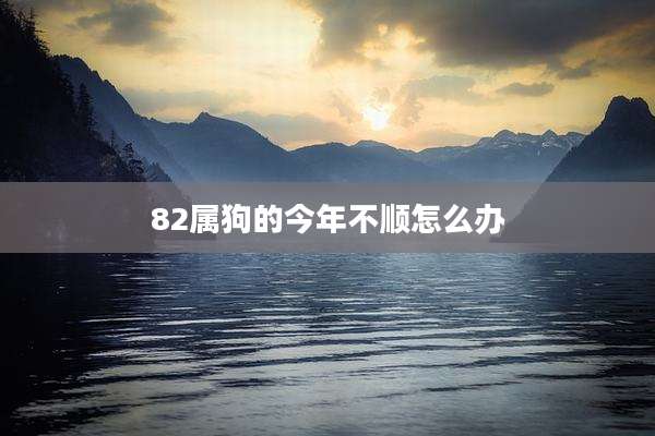 82属狗的今年不顺怎么办