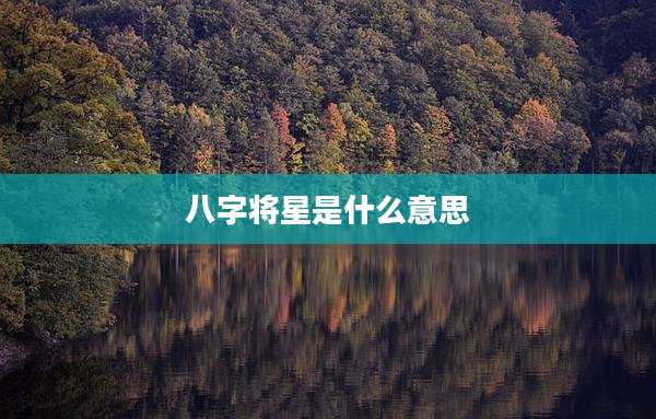 八字将星是什么意思