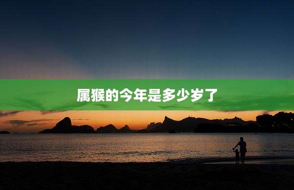 属猴的今年是多少岁了