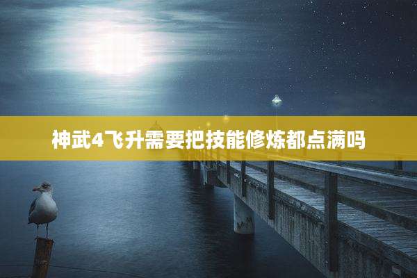 神武4飞升需要把技能修炼都点满吗