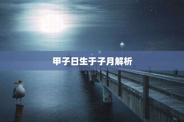 甲子日生于子月解析