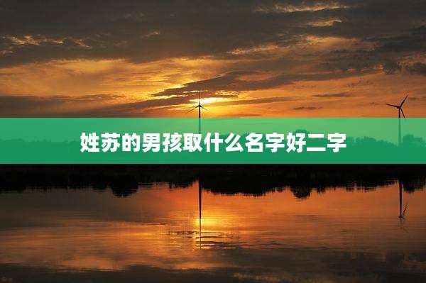 姓苏的男孩取什么名字好二字