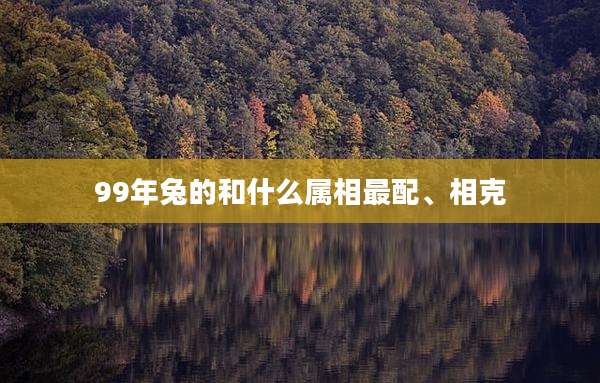 99年兔的和什么属相最配、相克