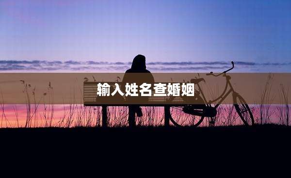 输入姓名查婚姻