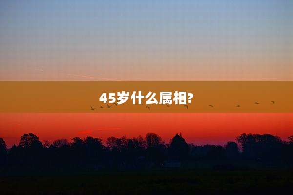 45岁什么属相?