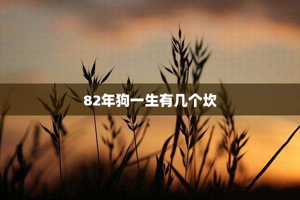 82年狗一生有几个坎