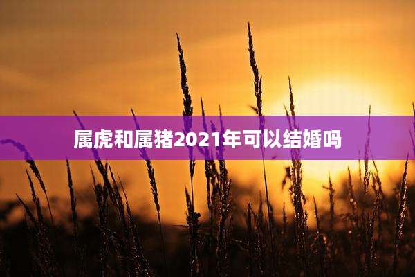 属虎和属猪2021年可以结婚吗